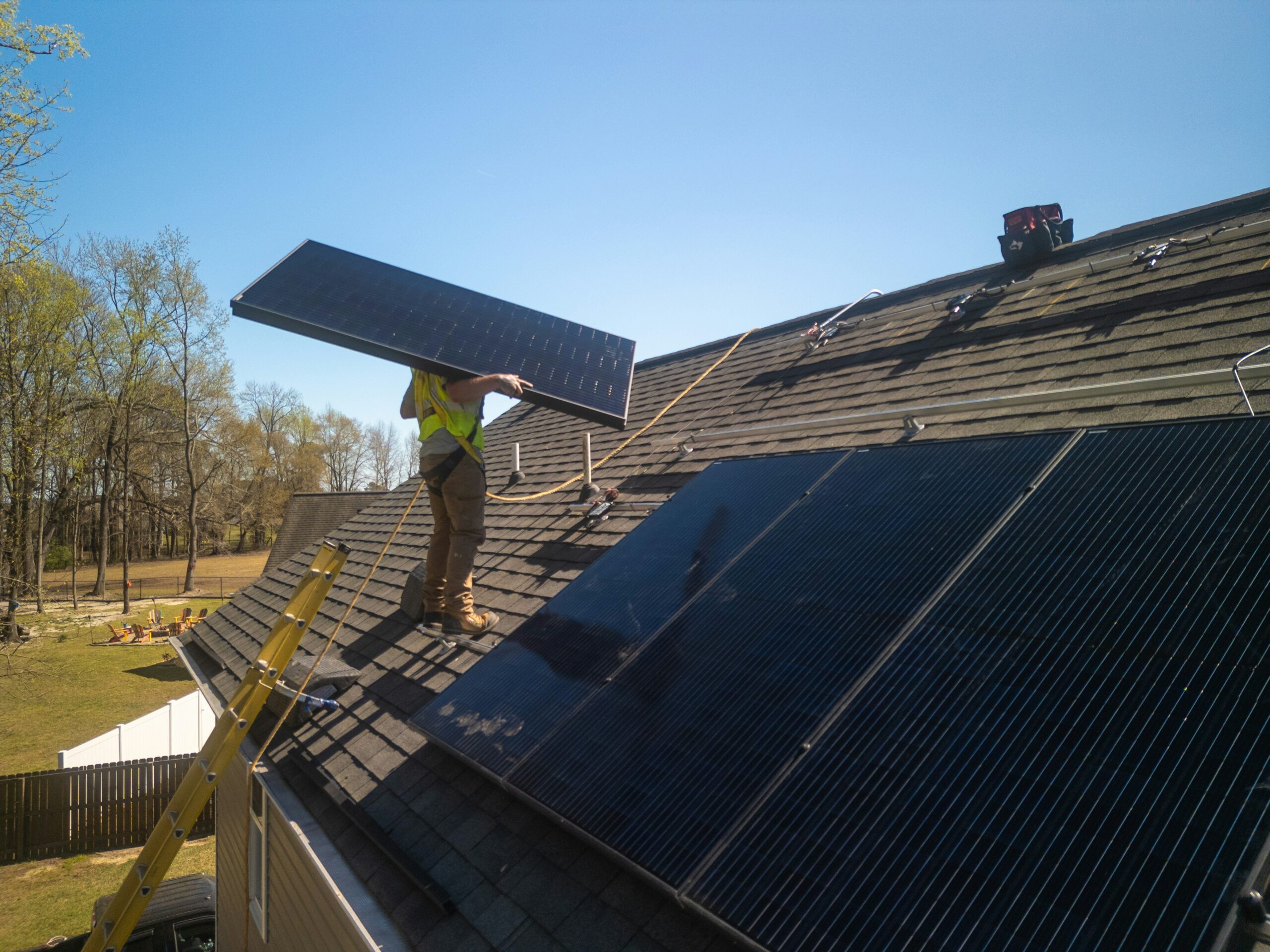 Andrea D'Alessio:Eco-Friendly Construction